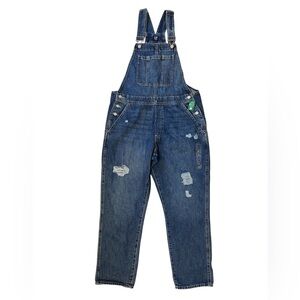 GAP Women’s Distressed Denim Overalls